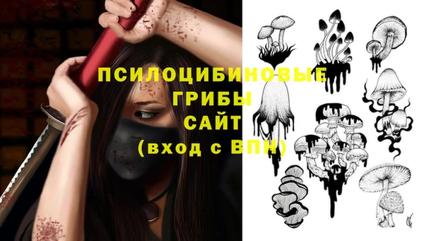 apvp Абинск