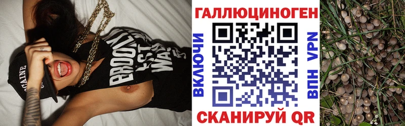 Галлюциногенные грибы GOLDEN TEACHER  мега ССЫЛКА  Южноуральск 